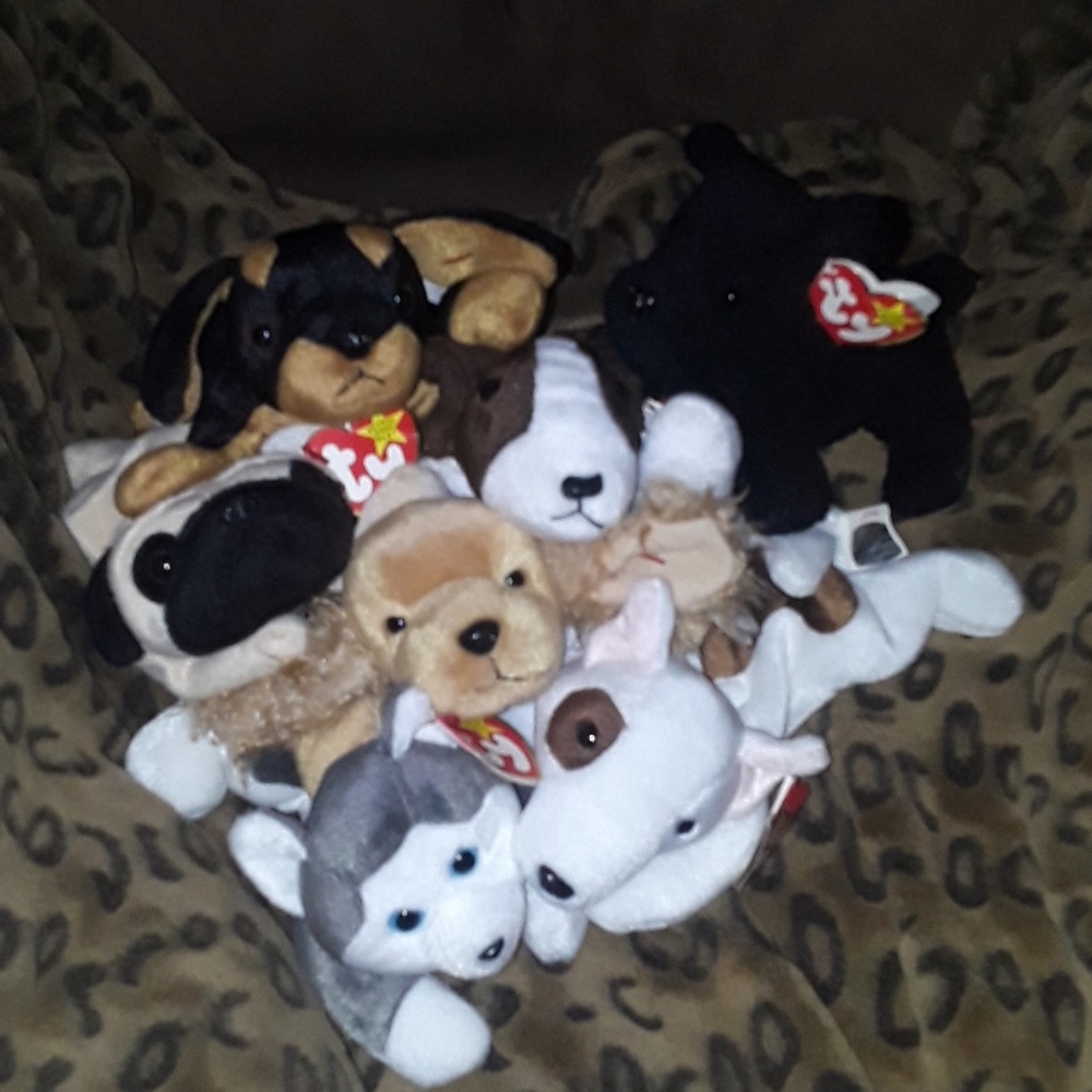7  BEAUTIFUL DOGGIE TY BEANIE BABIES